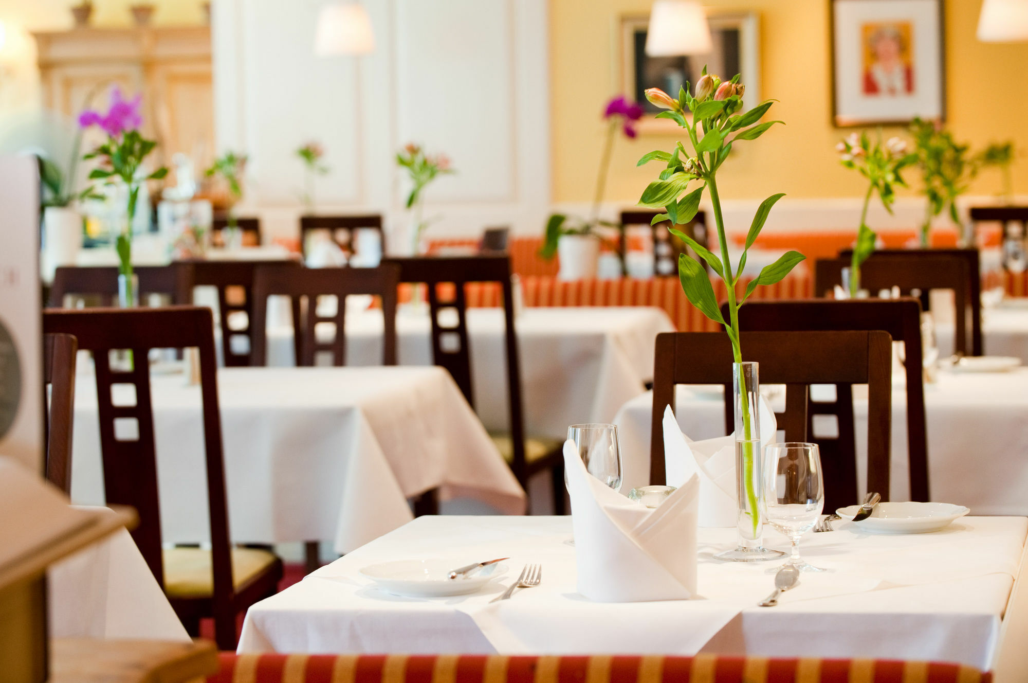 Birke, Ringhotel Hotel 4*